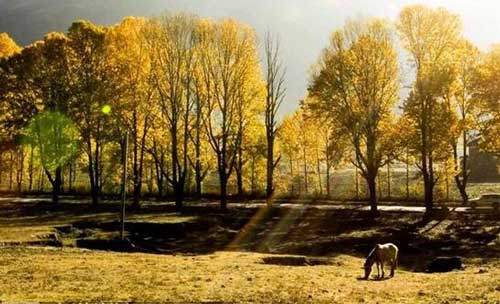 成都租車(chē)去新都橋攝影自駕3日游